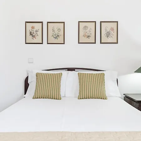 Zona Velha Ix By Travel To Madeira Apartment Funchal (Madeira)